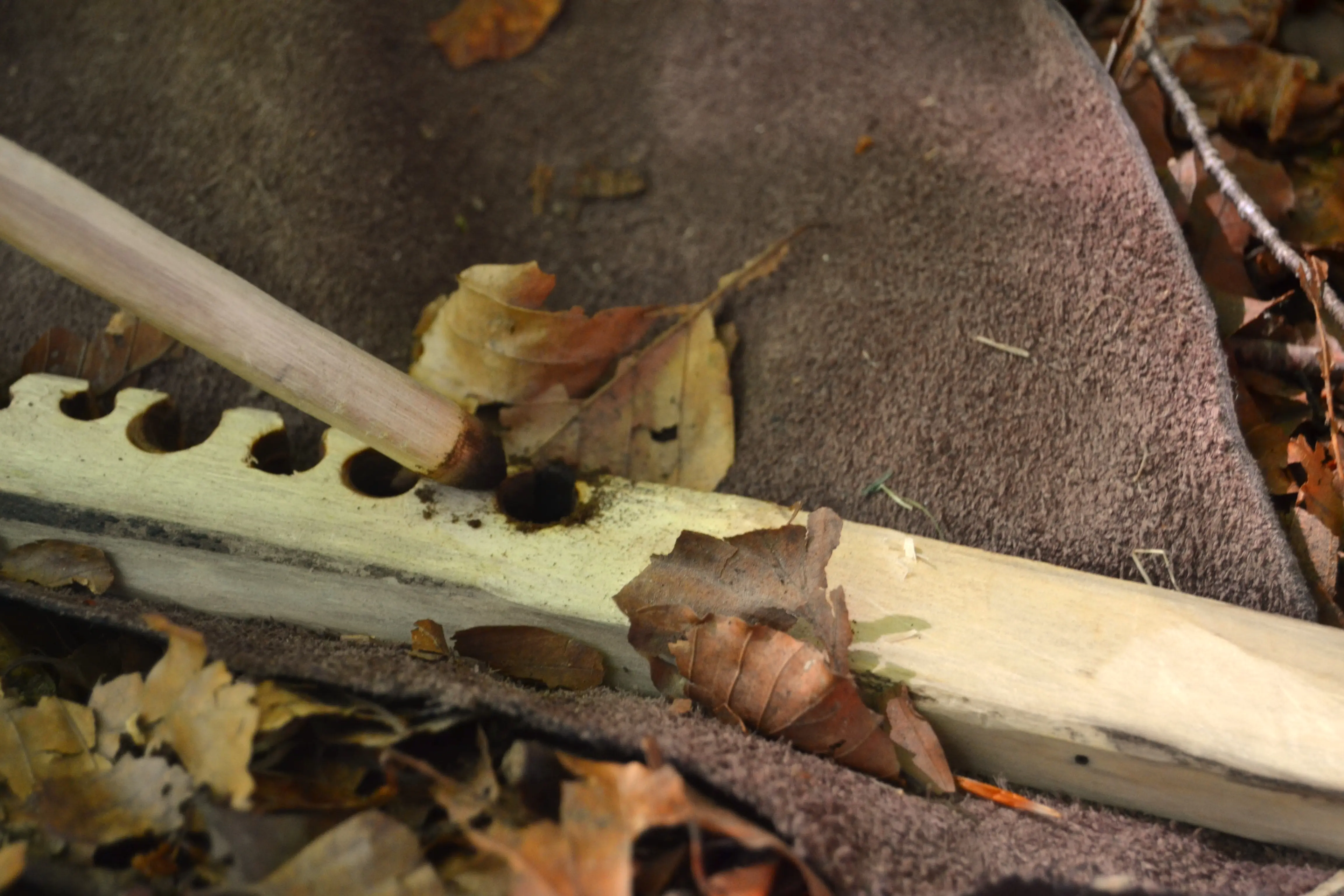 Andrea Modesti, istruttore di survival e bushcraft, esperto in campi avventura per ragazzi e corsi di sopravvivenza outdoor