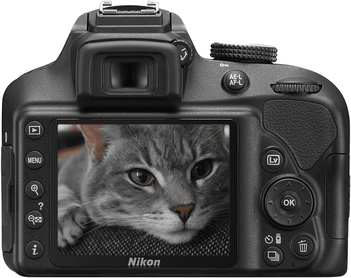 Nikon Camera - My Dao Designer Portfolio