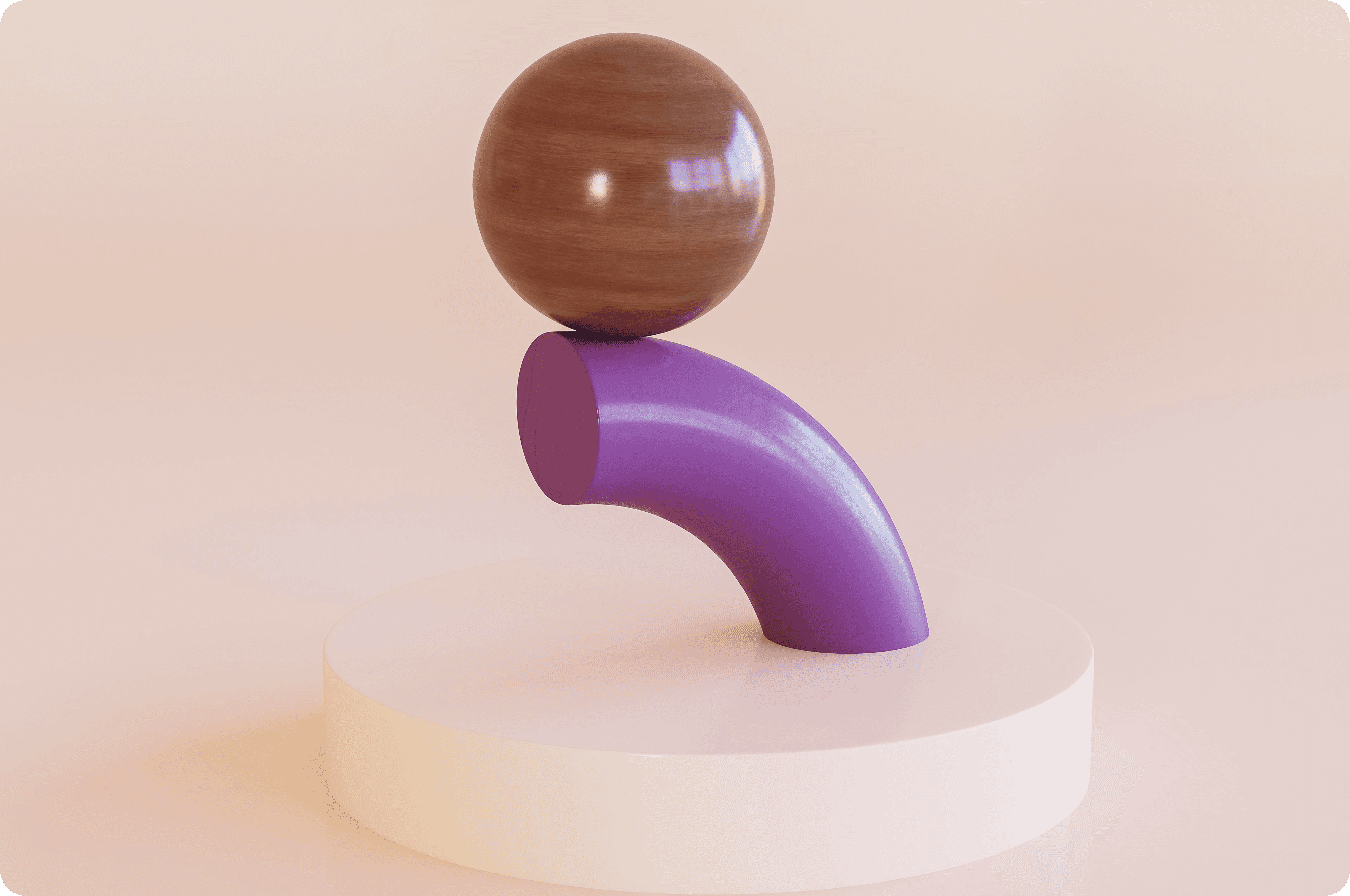 Case Study Image