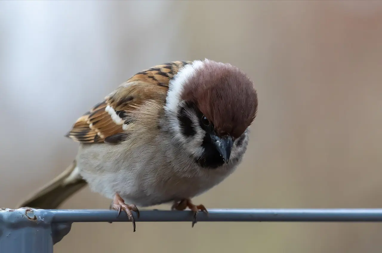 AI Update Transforms Workflows — technology banner