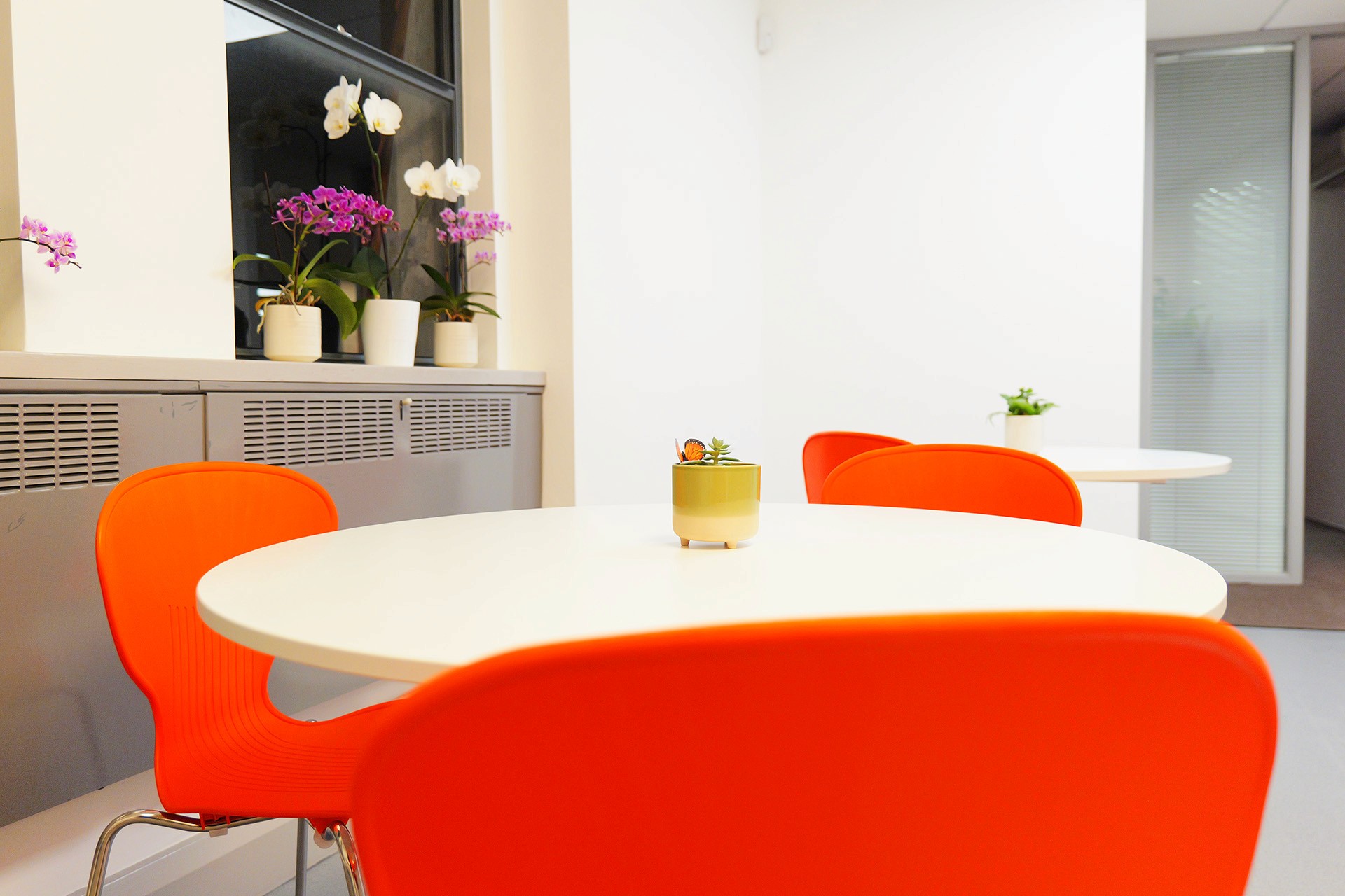 Gas Boiler Engineer performing a check