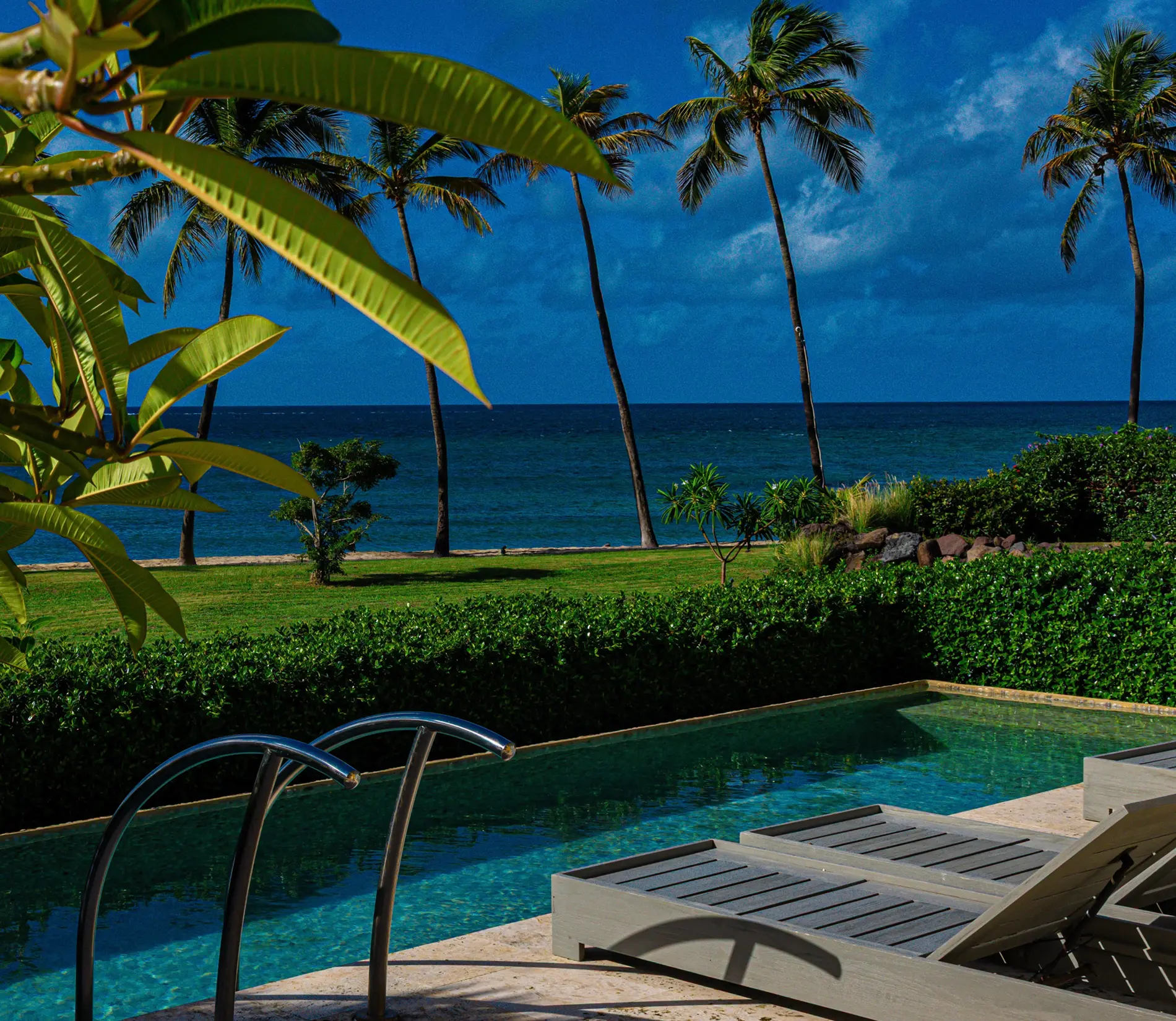 Eleusis oceanfront luxury psychedelic immersion