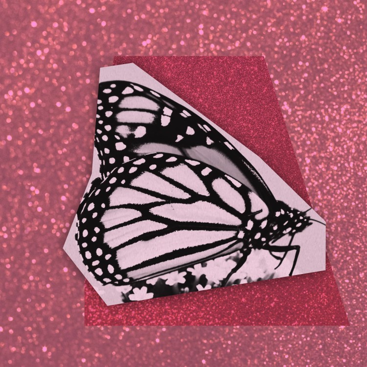 Dear Alana, Part 6: DEFILED