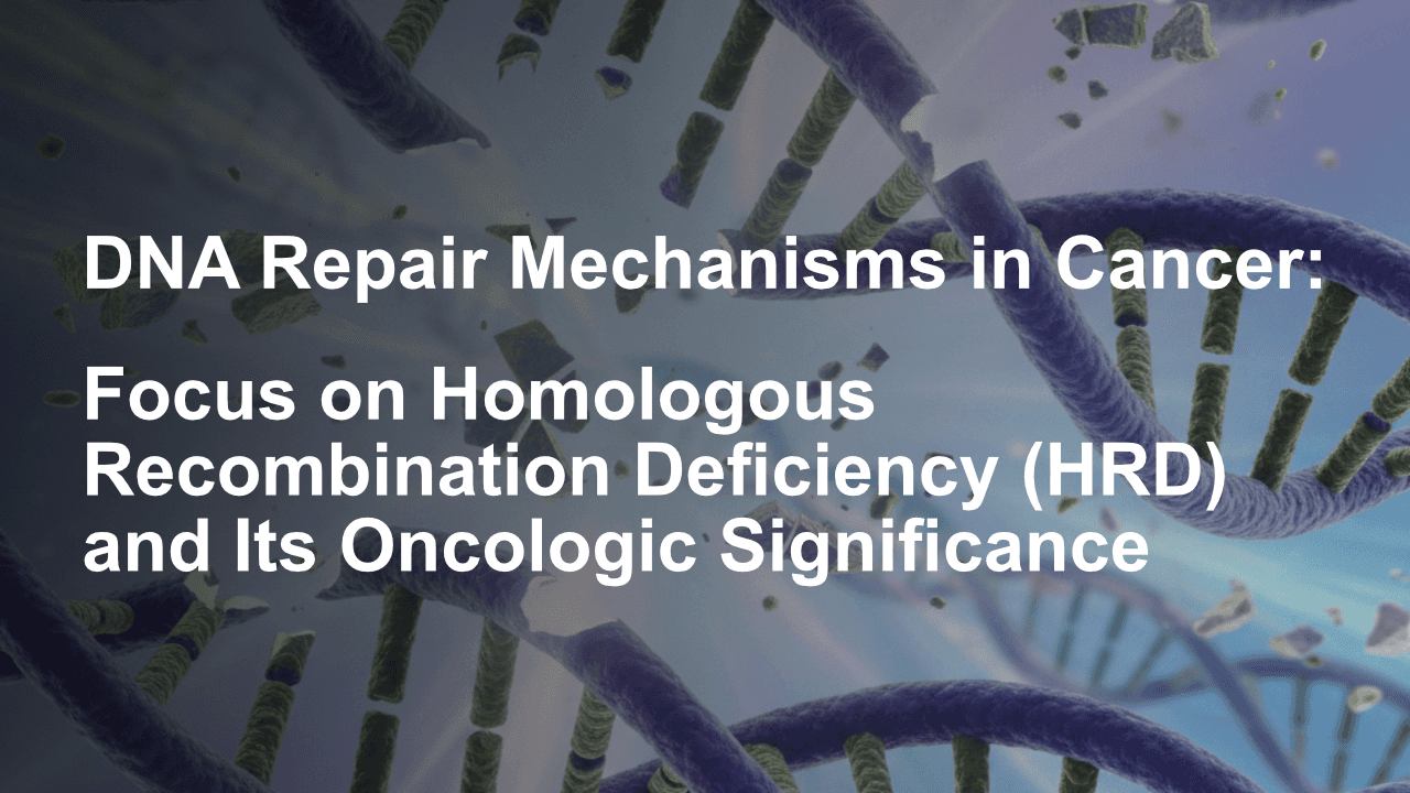 DNA repair mechanisms