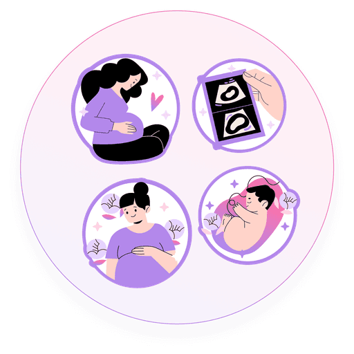 Pregnancy Weeks to Months Calculator – Convert with Lunara