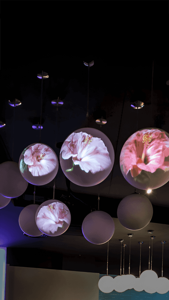 EuMo Experience Centre Tech