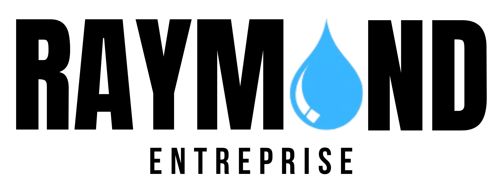 LOGO Entreprise Raymond
