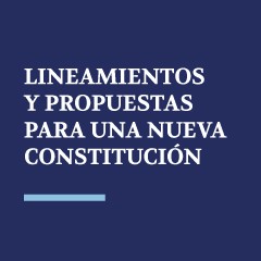 Portada de Lineamientos y propuestas para una nueva Constitución, documento de debate constitucional de IdeaPaís, mostrando el título escrito en blanco sobre un fondo de color azul oscuro. 