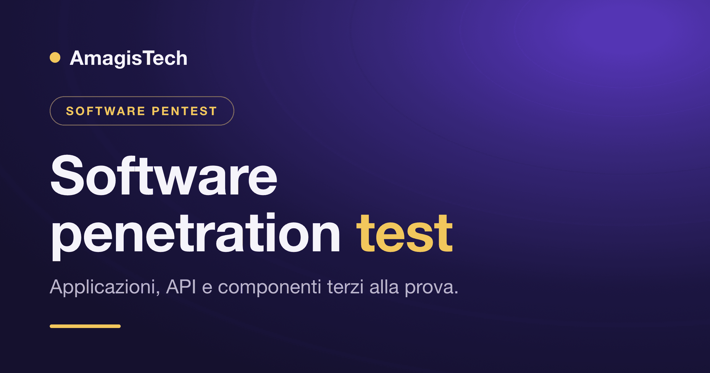 Software penetration test: cos'è e cosa trova