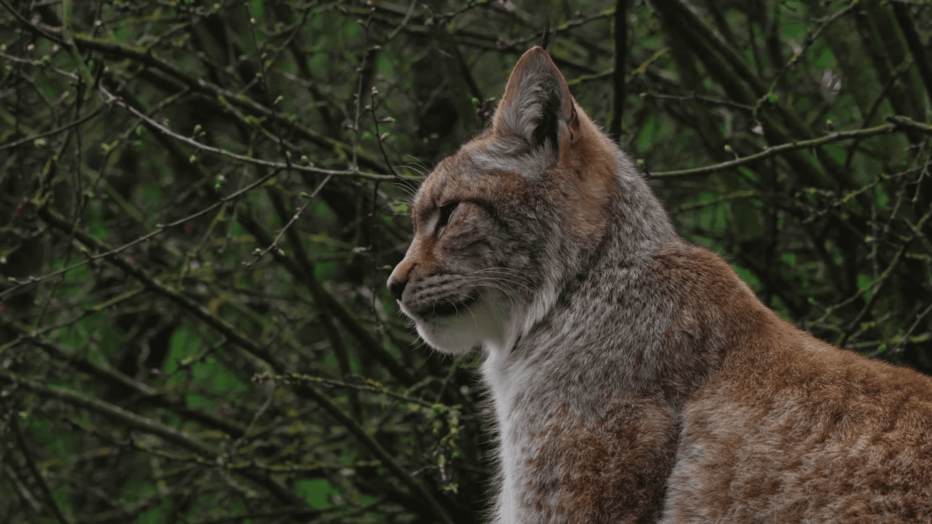 Nature & Vie sauvage