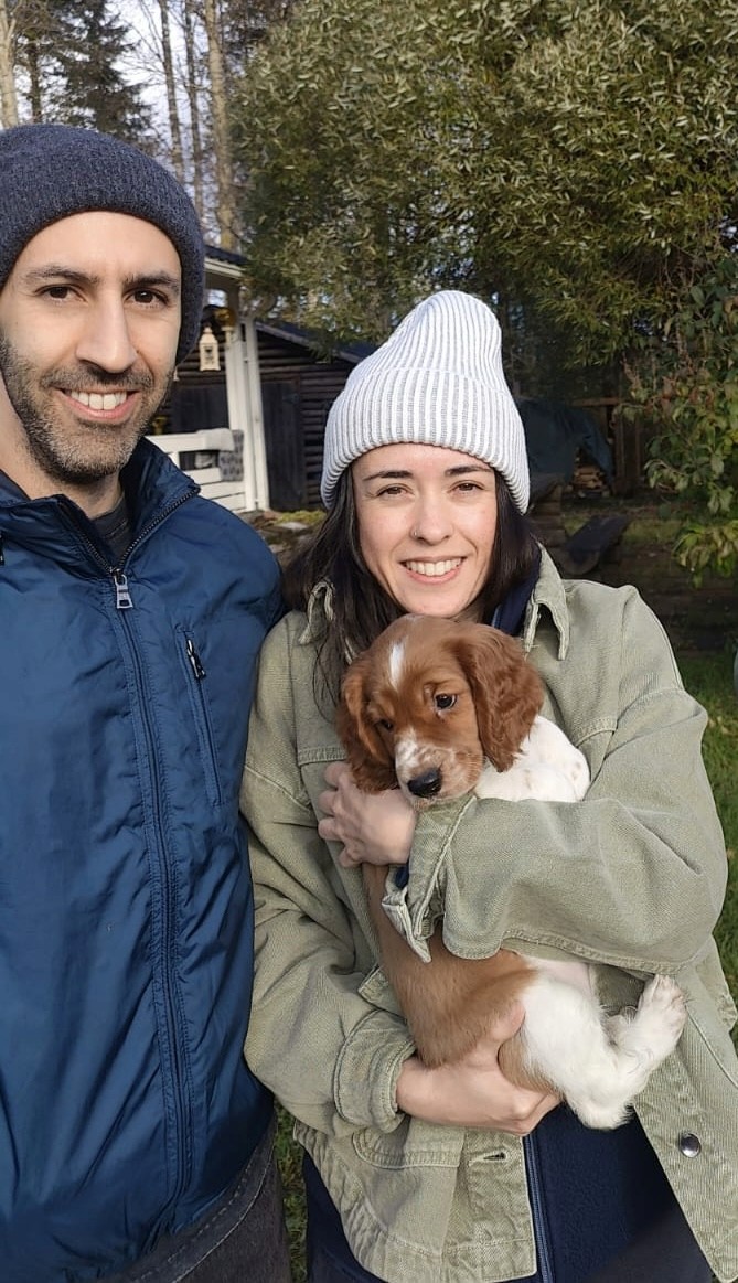 brown starfish on blue sand