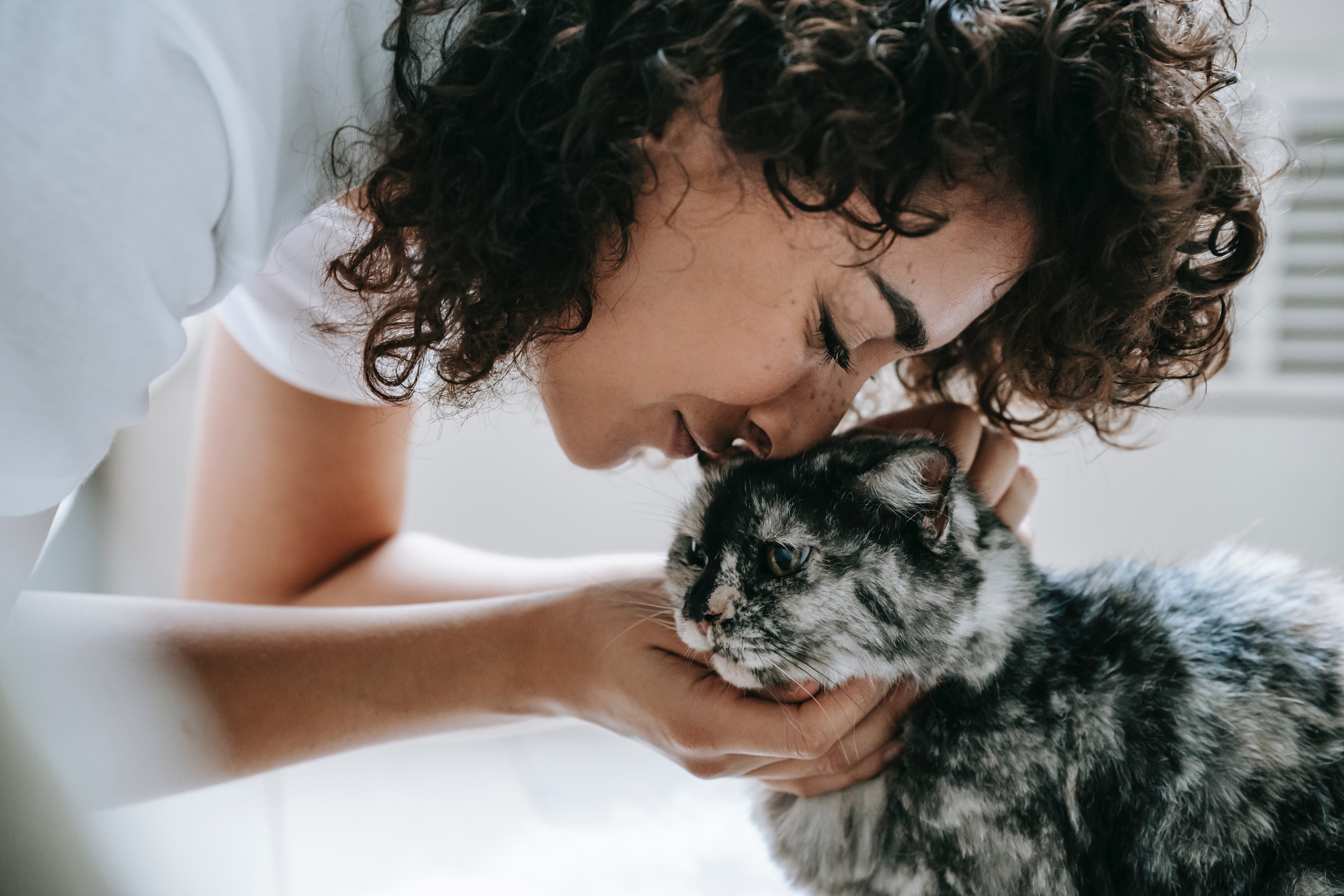 How much do you earn as a cat sitter?