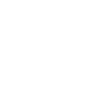 Instagram Button