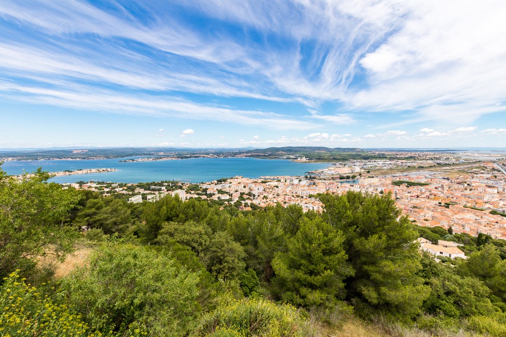 La forêt des Pierres Blanches à Sète