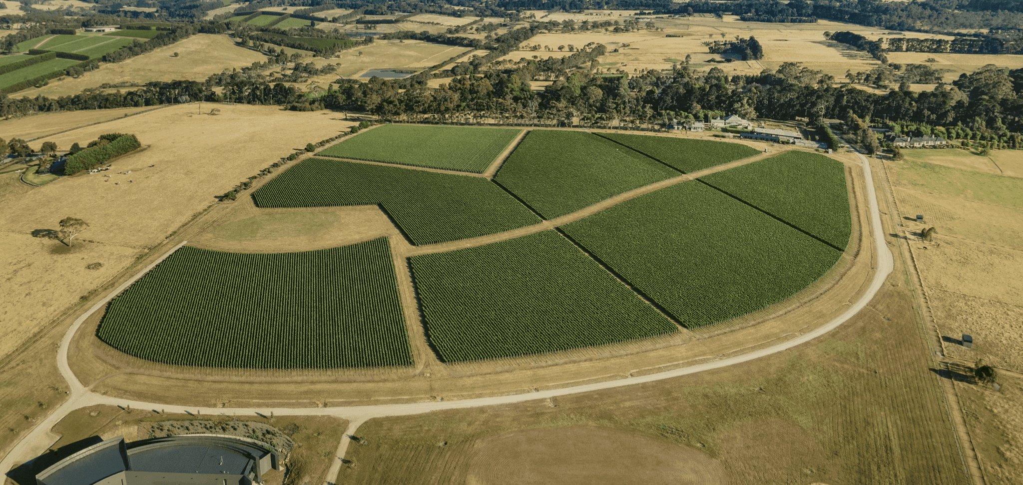 Aerial view of Elanto vineyard