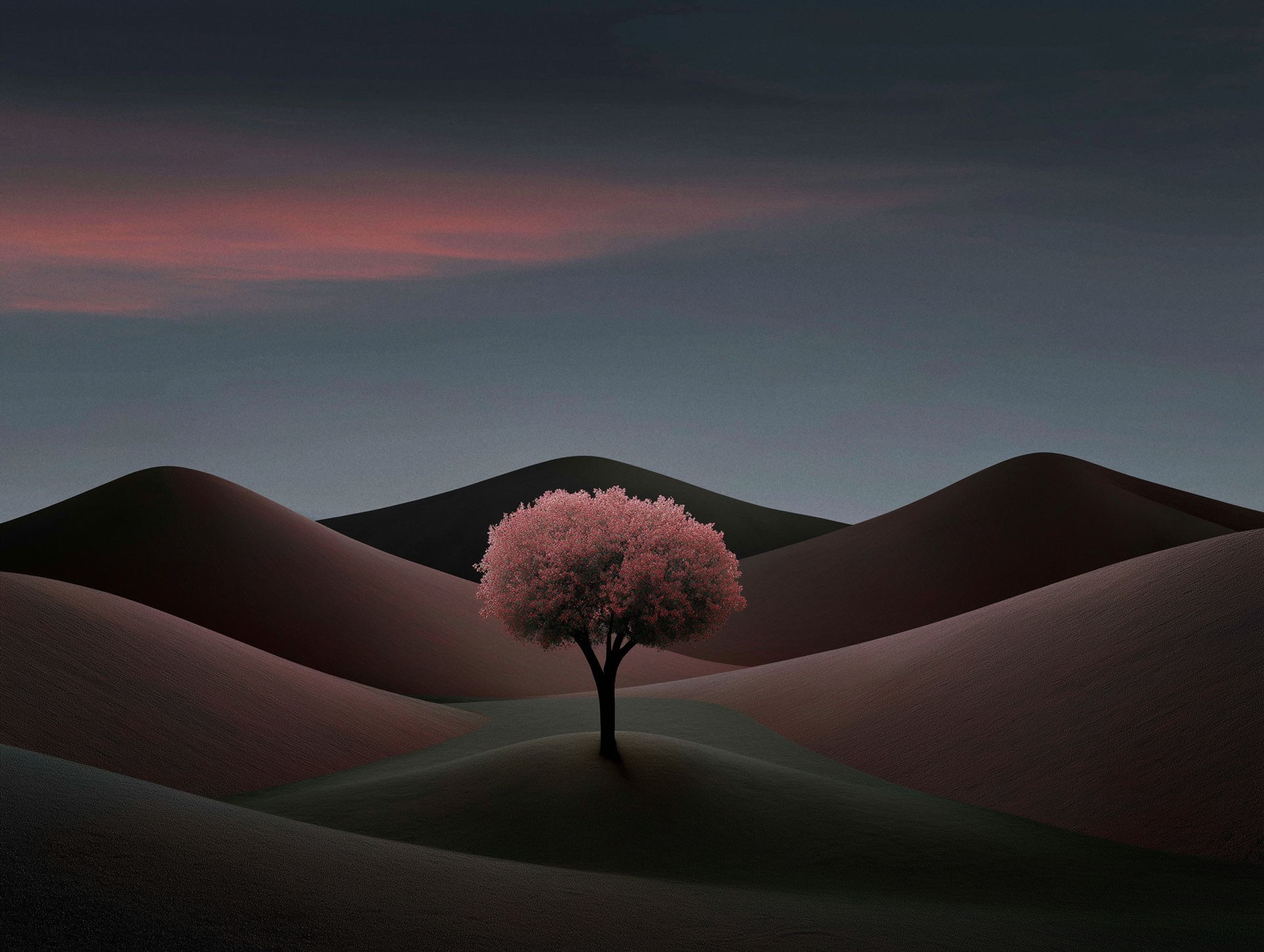 Lone tree on barren landscape with pink-hued mountains at sunset