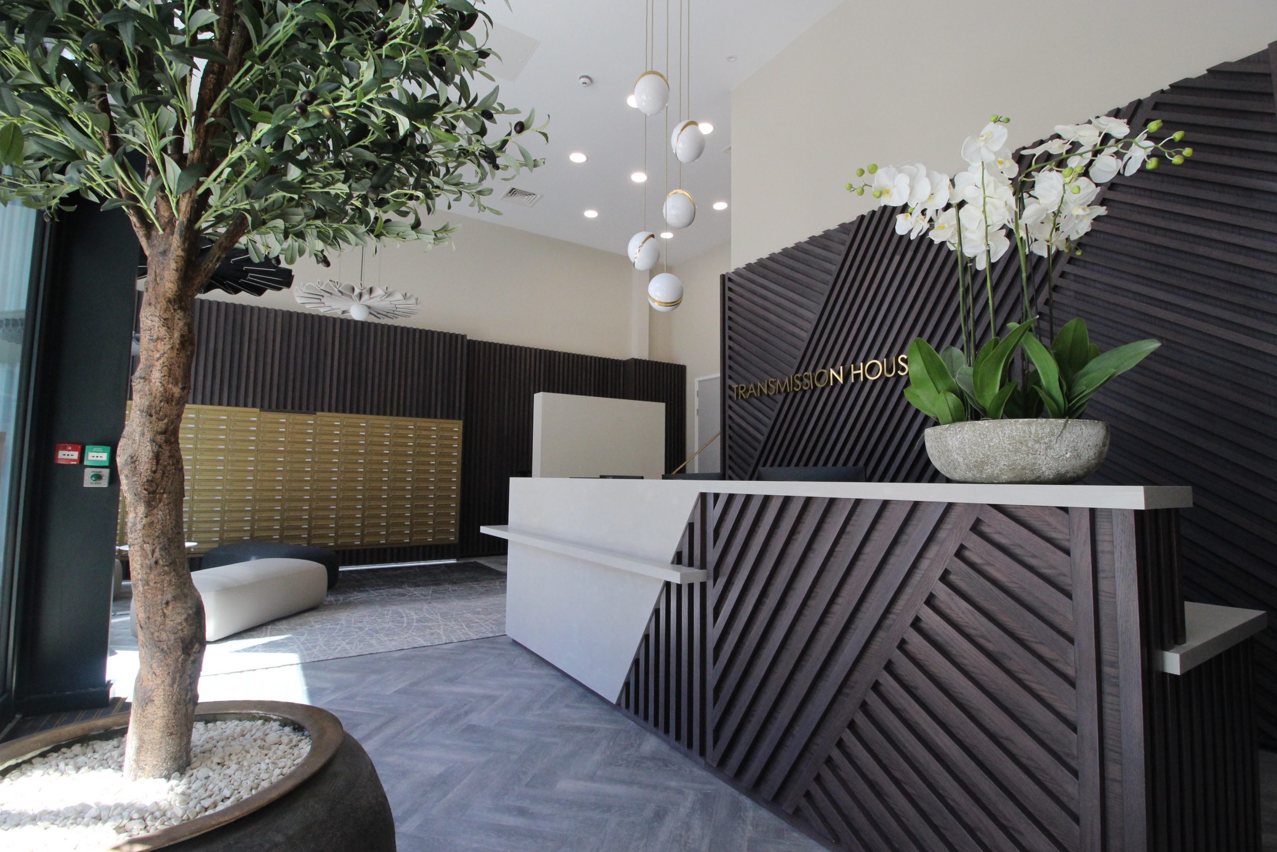 Reception fit-out with bespoke timber and stone reception desk, modern lighting, simple decor elements and biophilic principles