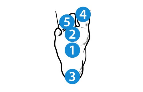 bottom of a foot vector graphic