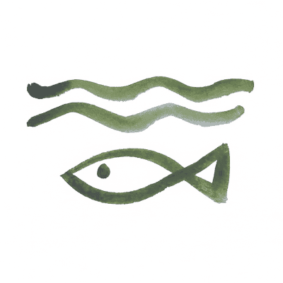 seafood illustration