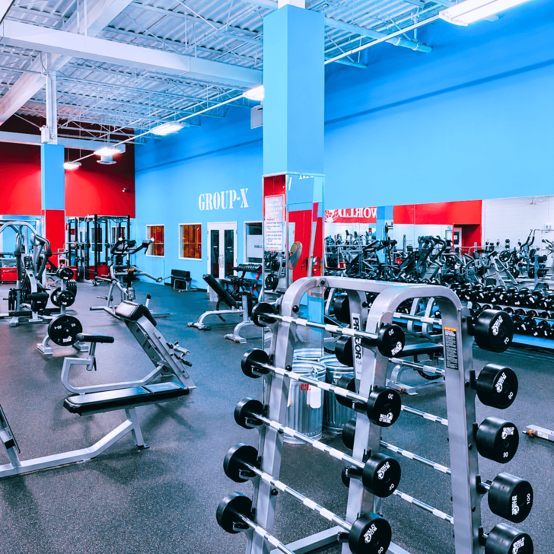 World Gym North Bay Free-Weights Area