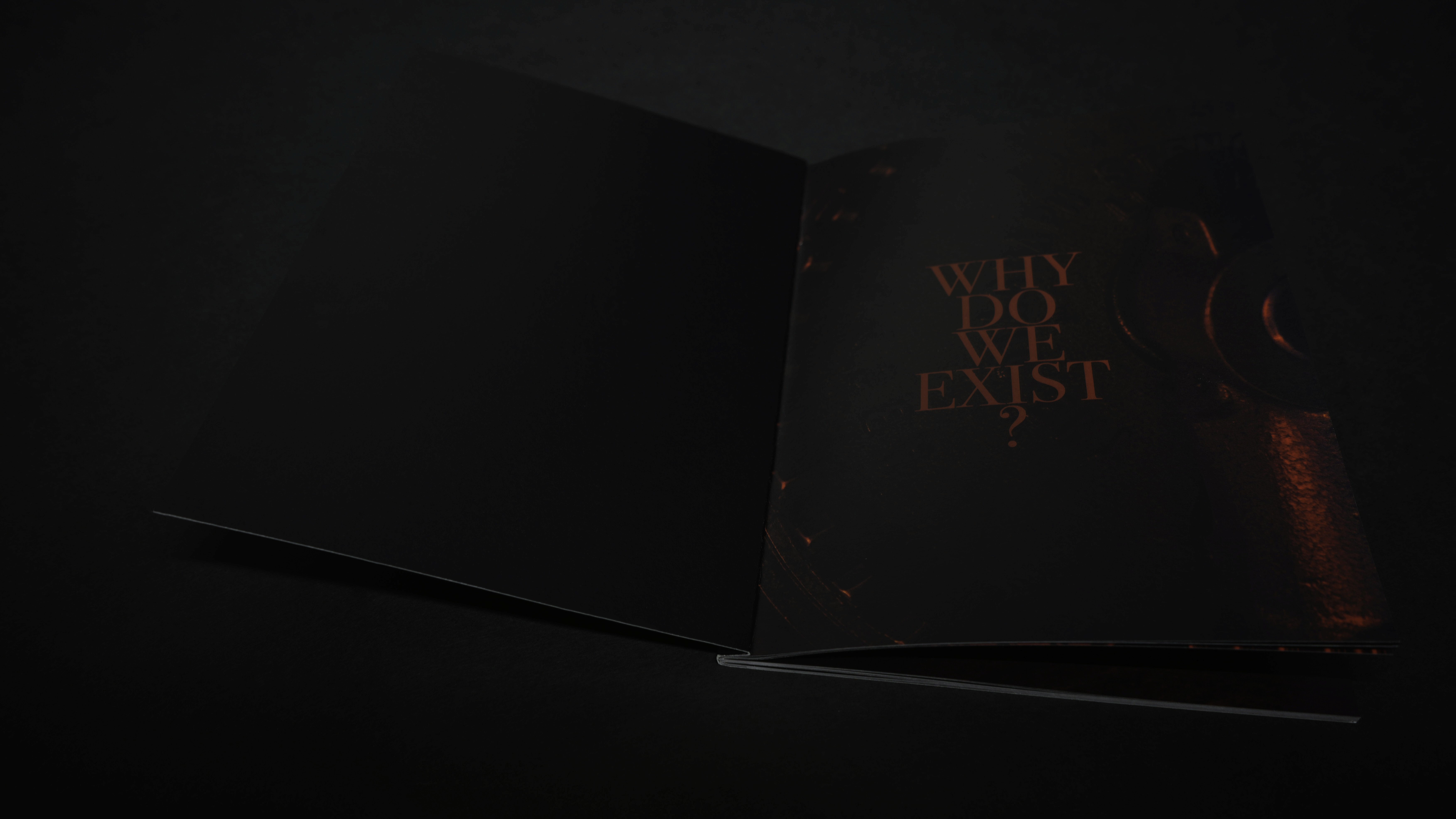 Concert Performance Photo