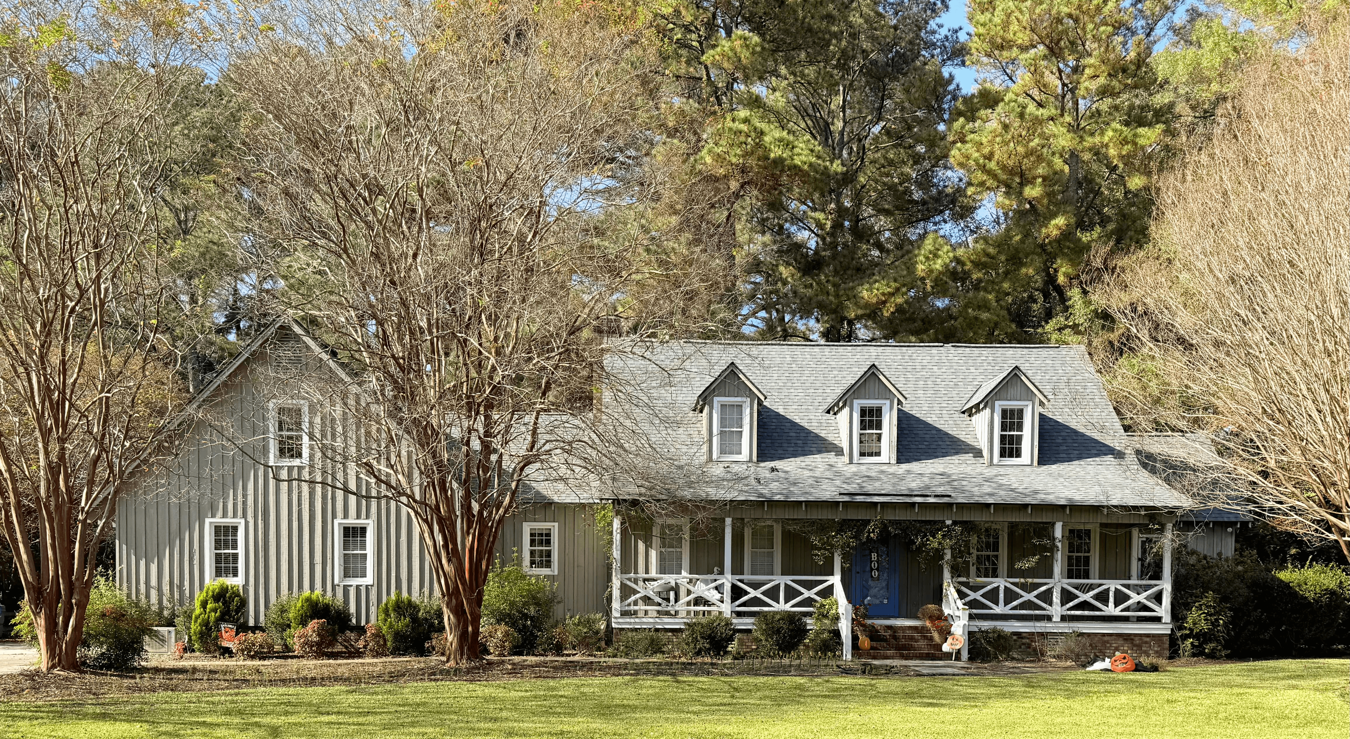 House with a covered front porch surrounded by tall pine trees.