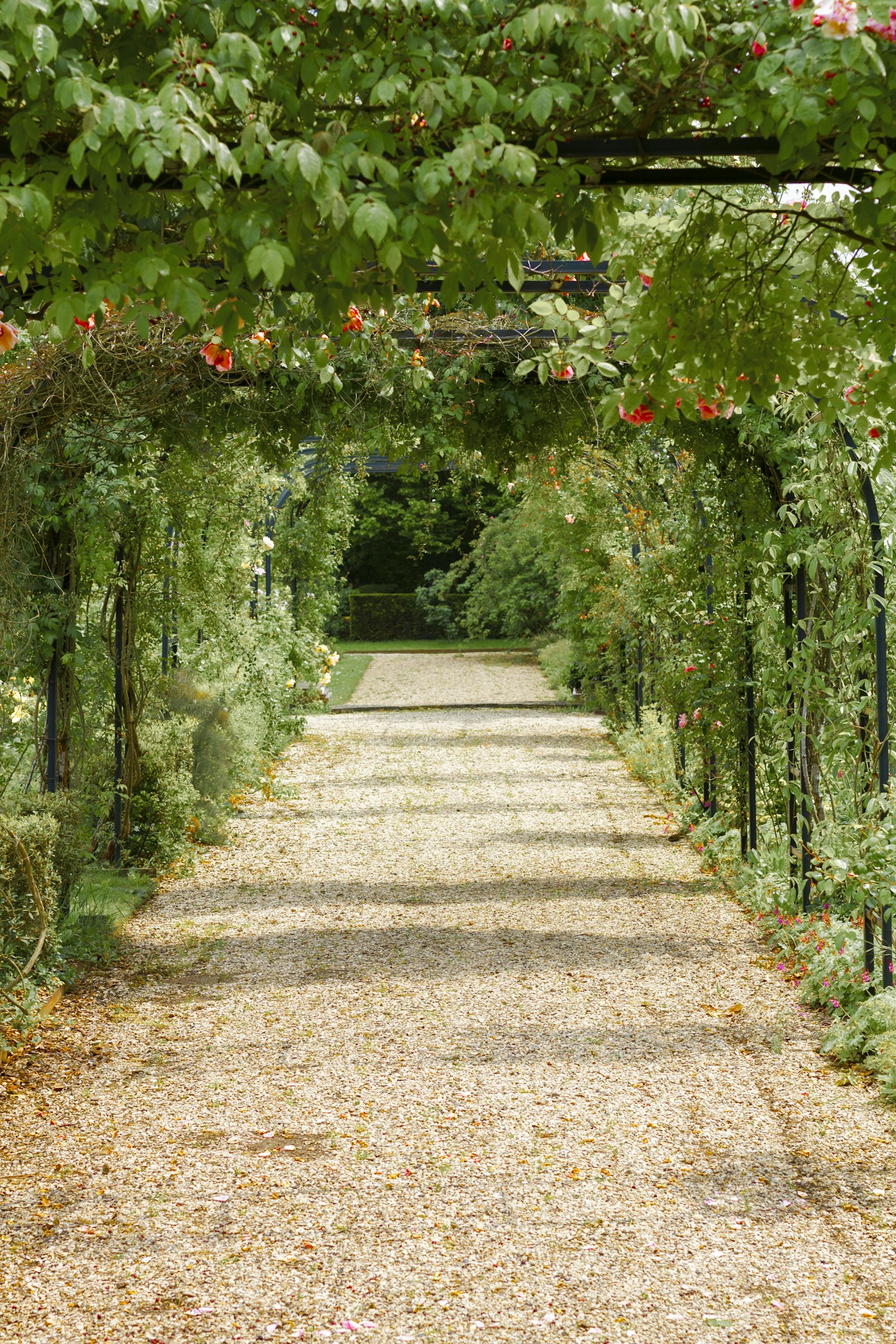 A pathway curving through a flowering garden