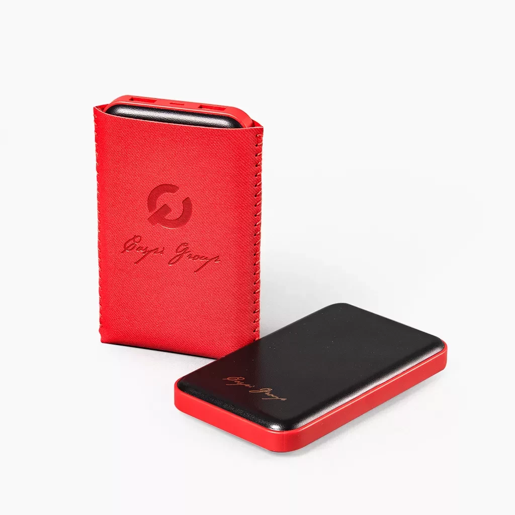 Leather power bank with removable case