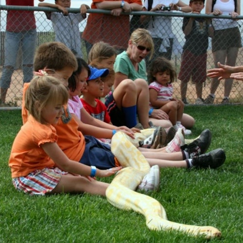 Деца, седнали на тревата, са наредени и докосват голяма жълта змия, поставена върху коленете им. Възрастни и ограда на заден план.