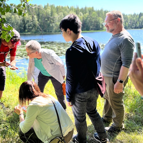大自然充满了奇观。
