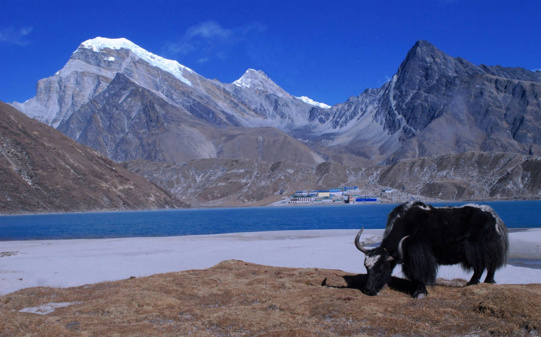 gokyo lake