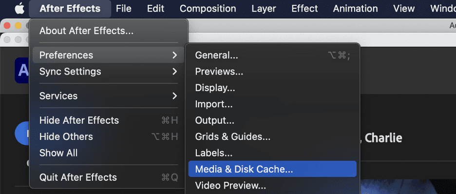 Change your media cache and ram settings to avoid After Effects from crashing. Use Vagon to access the latest hardware from any browser