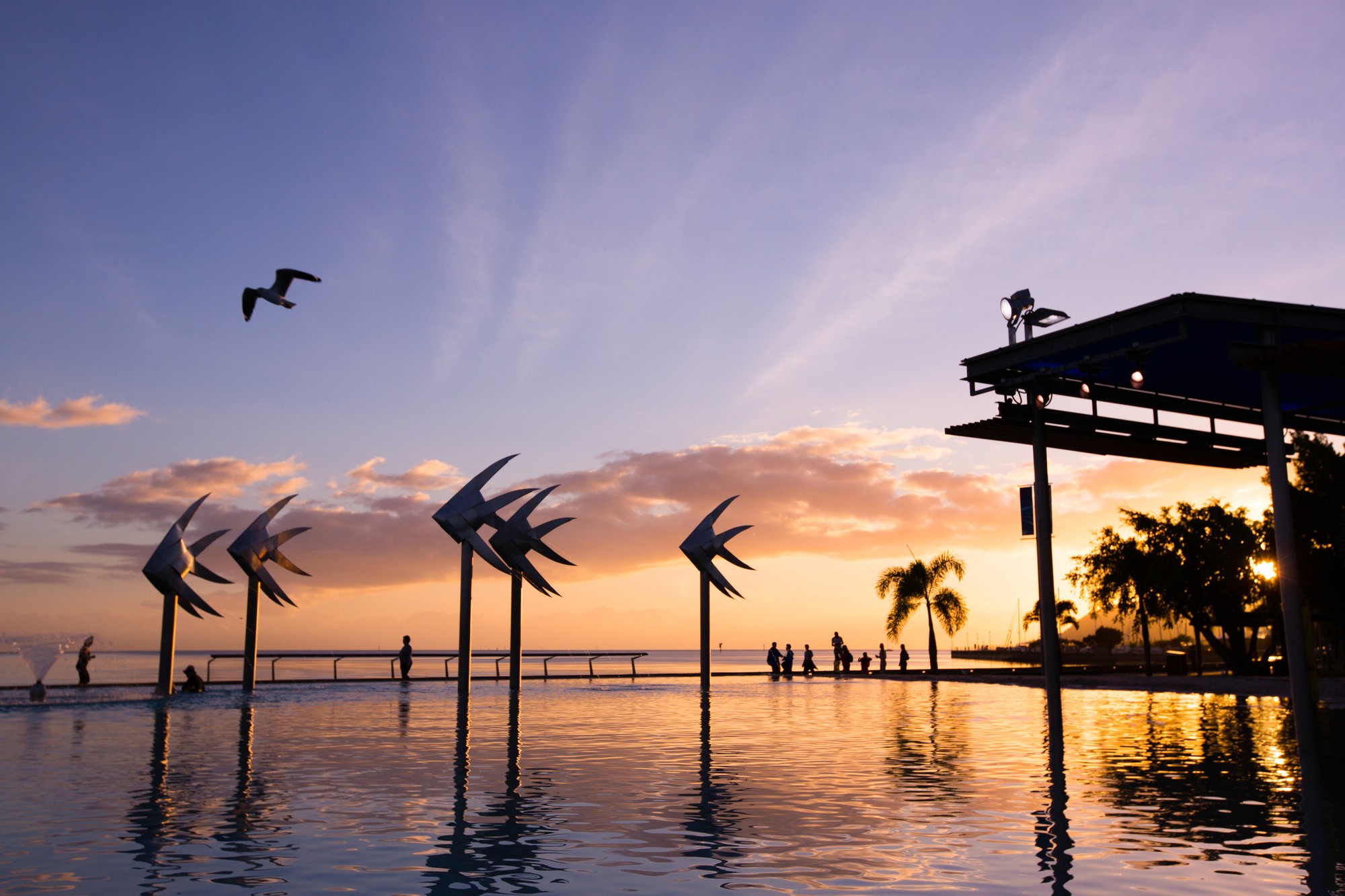 photography of dam during daytime