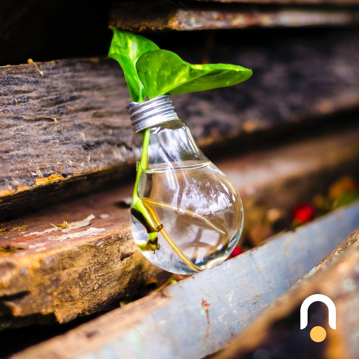 How to create a culture of innovation within your organization