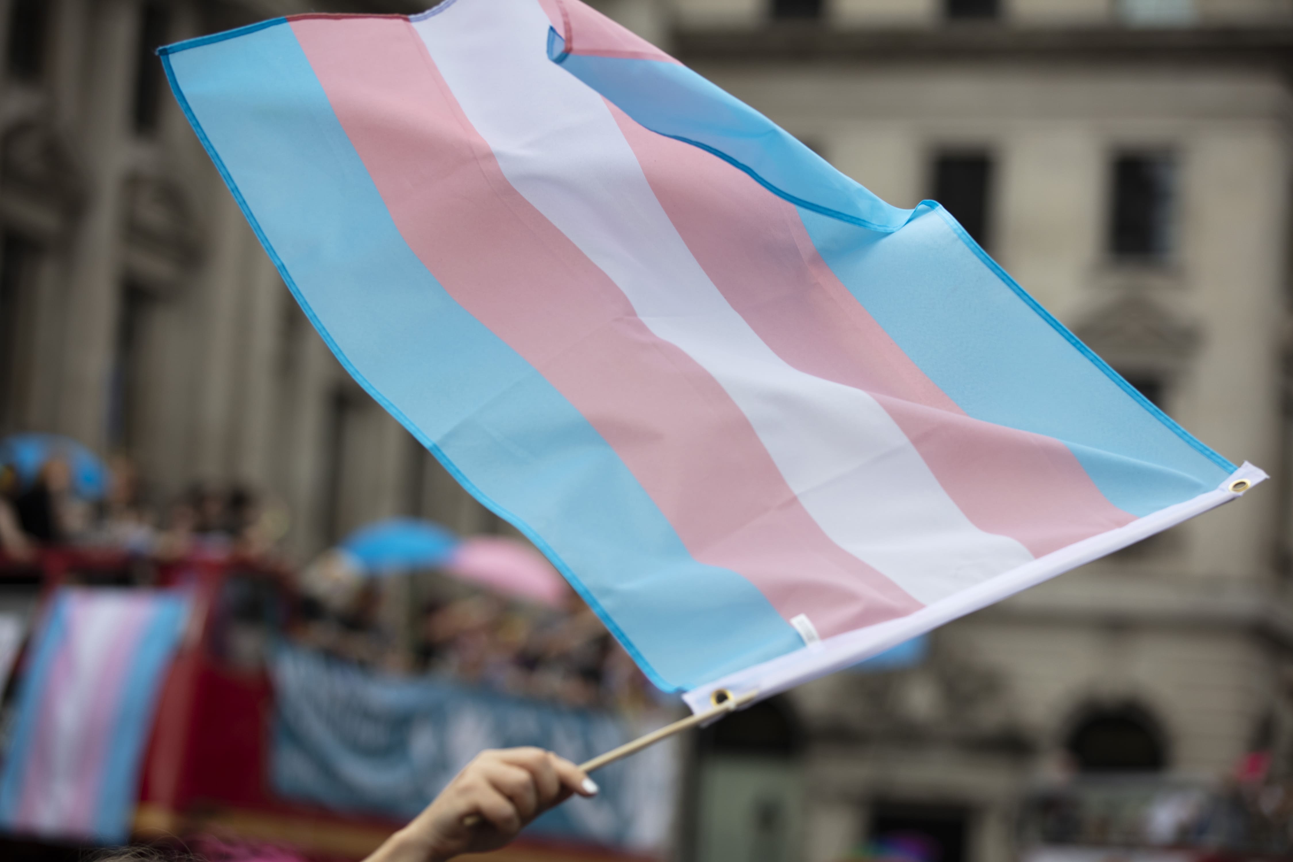 A imagem mostra a bandeira do orgulho transgênero sendo agitada por uma pessoa em um evento ao ar livre, possivelmente uma marcha do orgulho LGBTQIA+. A bandeira possui as cores azul claro, rosa e branco, representando a diversidade e inclusão de pessoas transgênero. Ao fundo, é possível ver um prédio e outras pessoas participando do evento, embora desfocadas. A bandeira é o ponto central da imagem, destacando-se contra o cenário urbano. A cena transmite uma mensagem de orgulho, visibilidade e celebração da identidade trans.