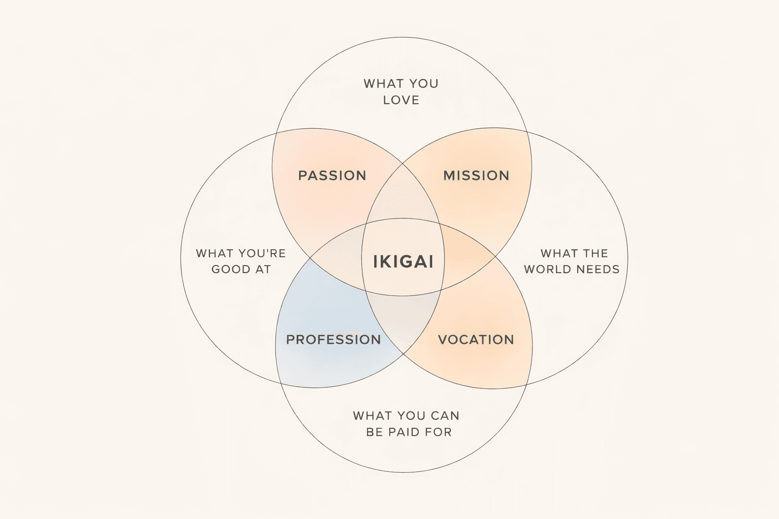 The image featured at the bottom of the about us page