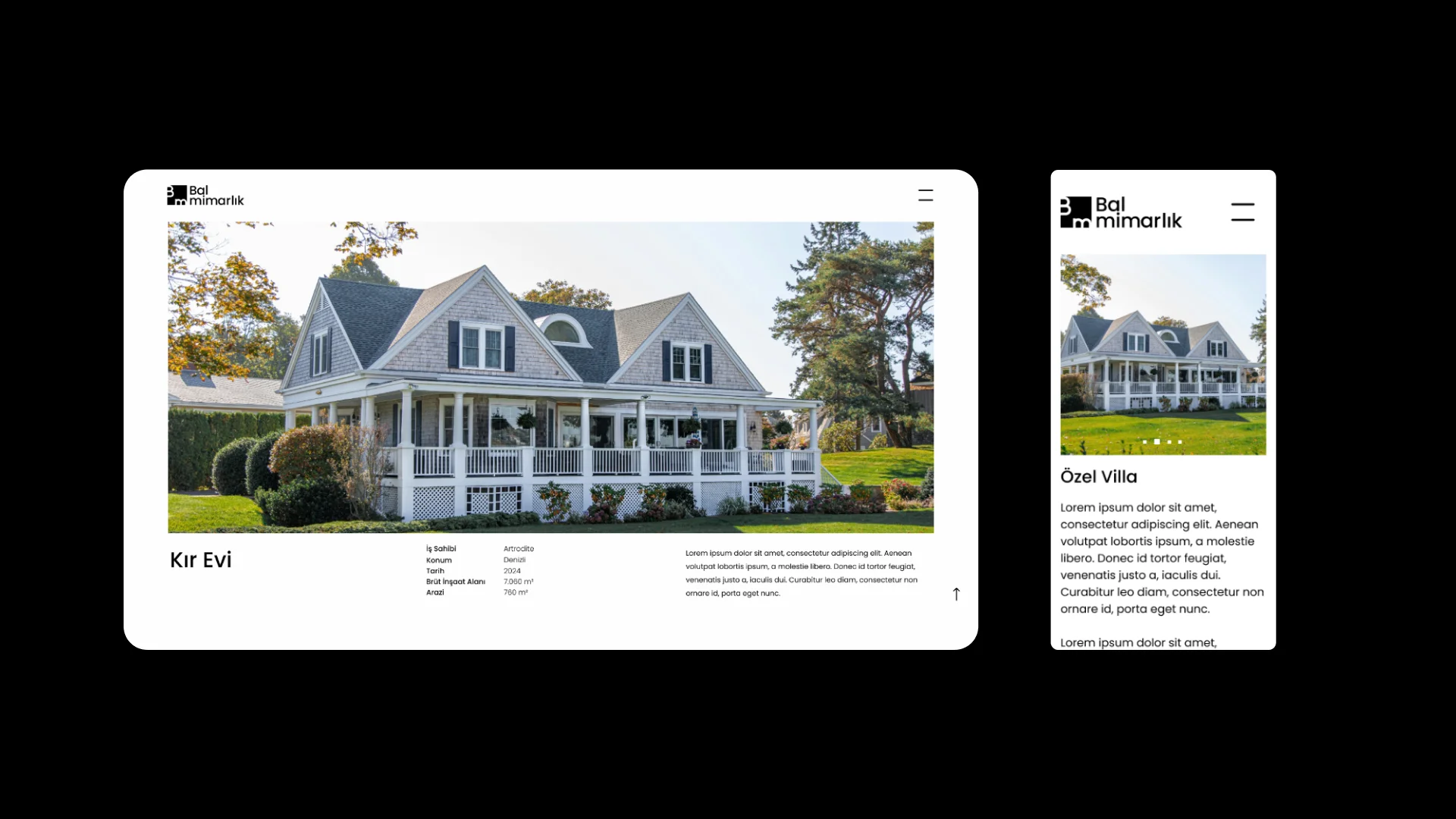 Website showcase 3