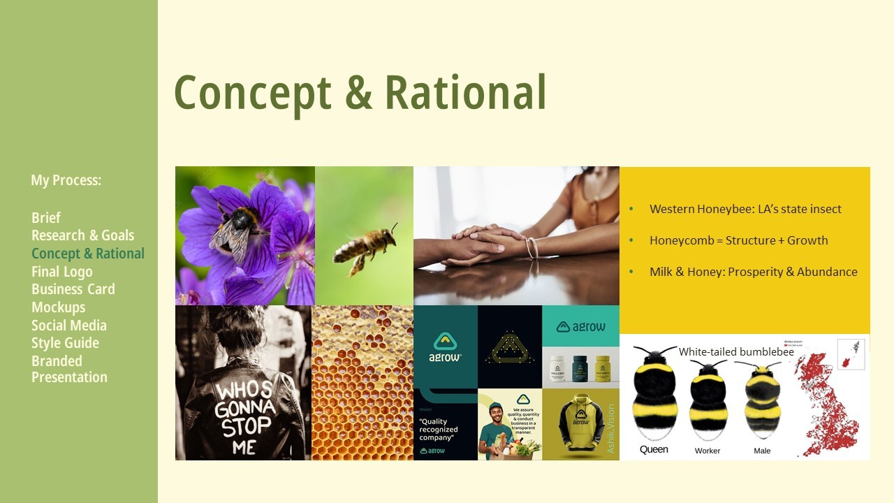 Concept and Rational: Louisiana's state insect is the Western Honeybee. Honeycombs represent structure and growth. Milk and honey represent prosperity and abundance. There is a moodboard demostrating female empowerment and connection, bees working and flying, the differences between white-tailed bumblees, and an example of the friendly graphics I want to emulate for this rebrand.