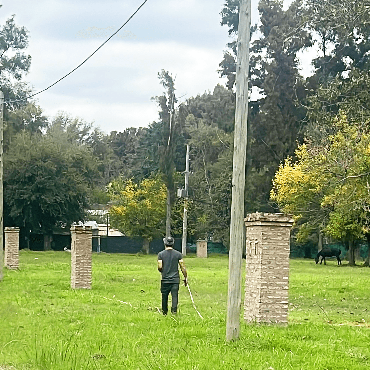 Lotes Para Todos - Pinares Del Casco