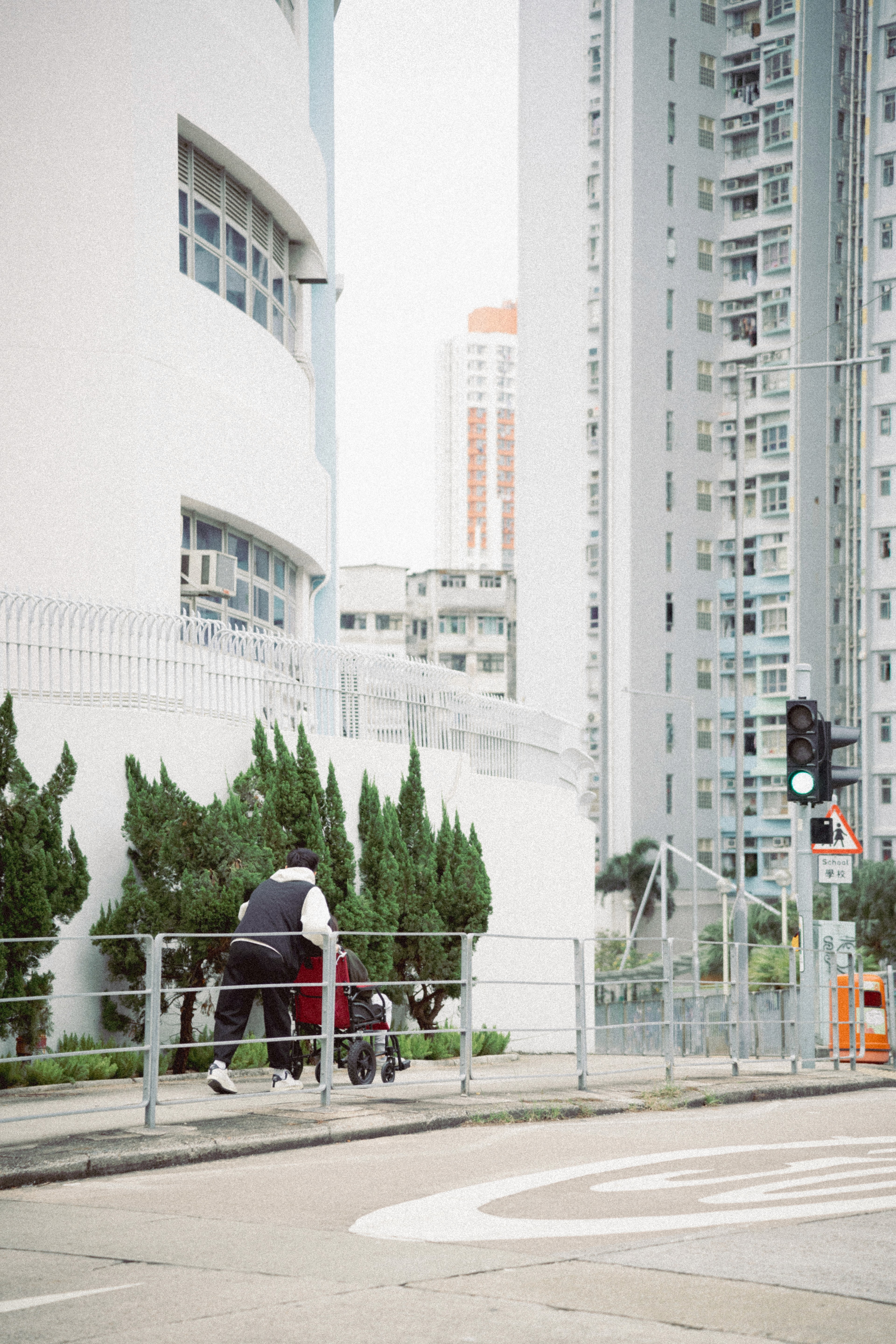 wind breeze, tree move