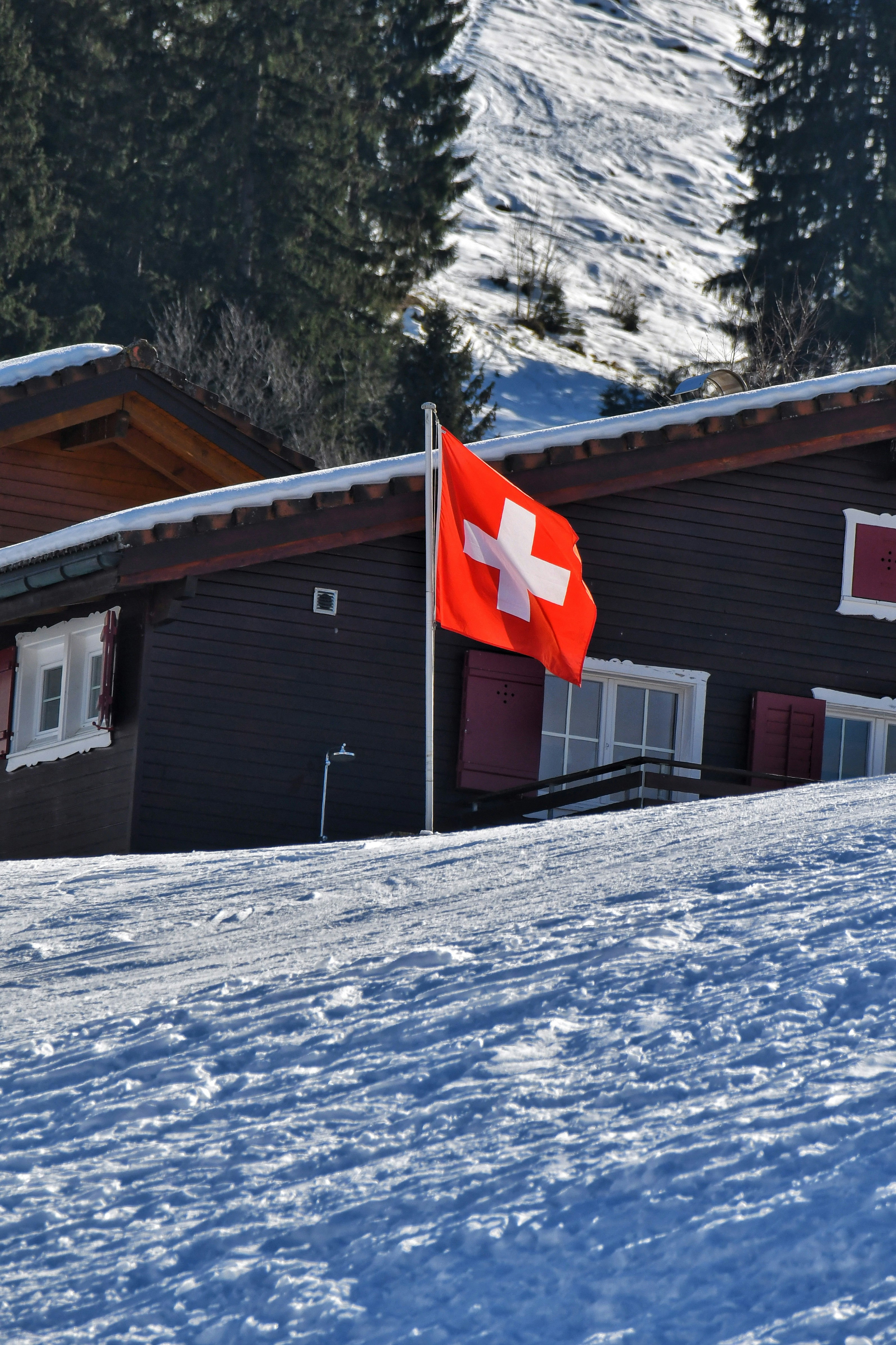 Swiss flag waving beside alpine chalet in snowy mountain village symbolizes Residence Permit