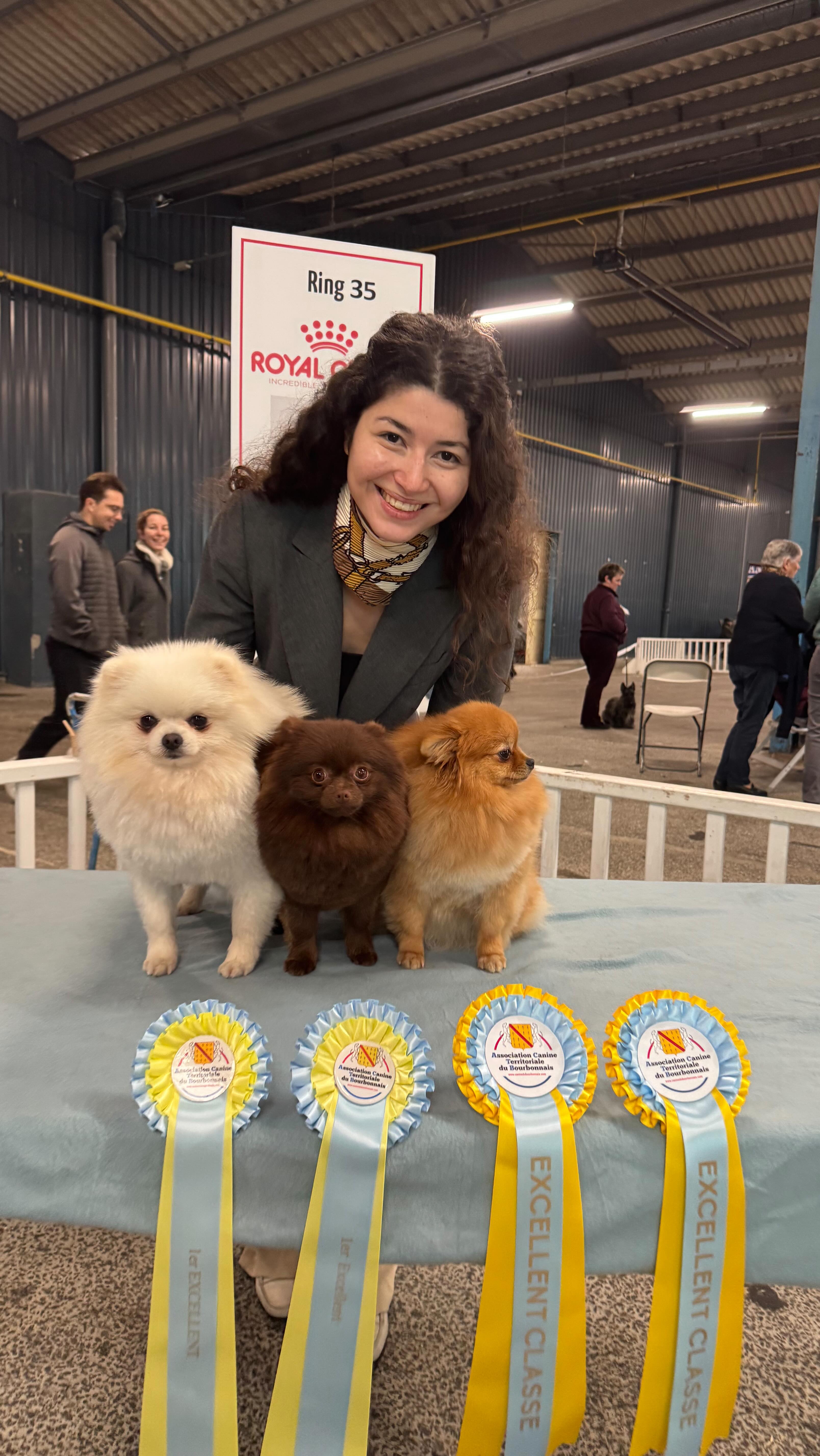Éleveuse passionnée souriante tenant trois Spitz nains de couleurs blanche, chocolat et fauve lors d’une exposition canine, avec rubans de récompense en premier plan.