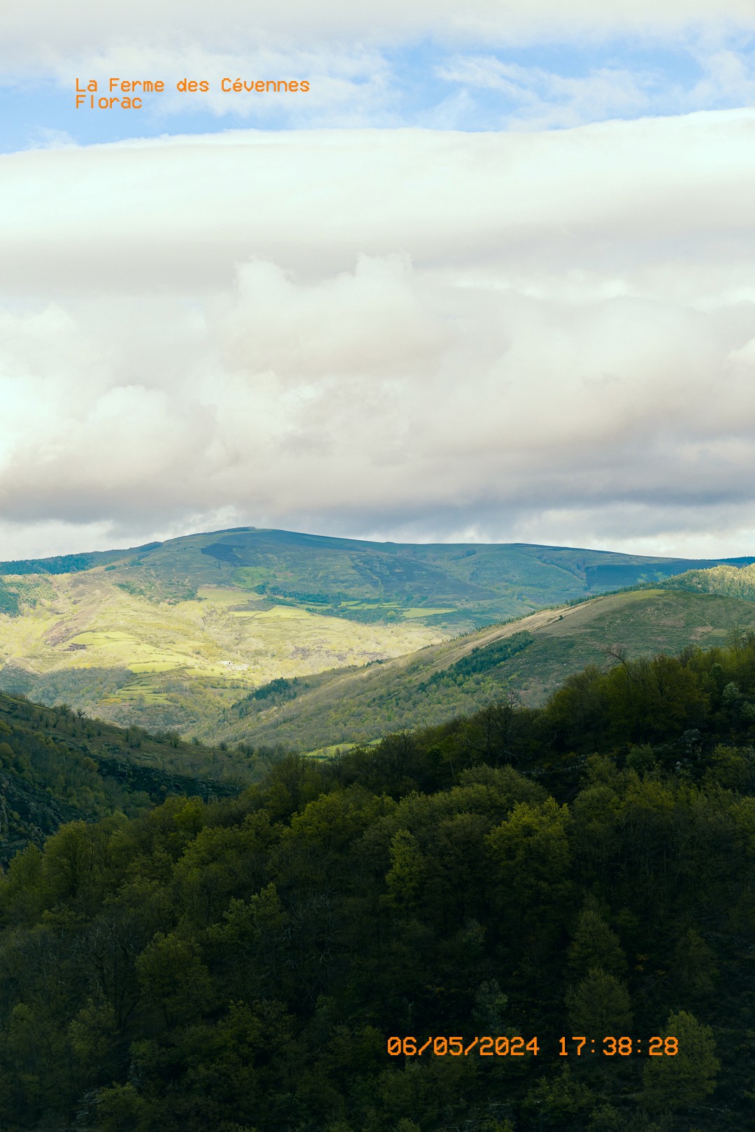 Vue panoramique des montagnes verdoyantes des Cévennes sous un ciel nuageux.