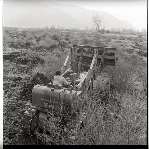 Bulldozer SEAM despejando futuro terreno agrícola.