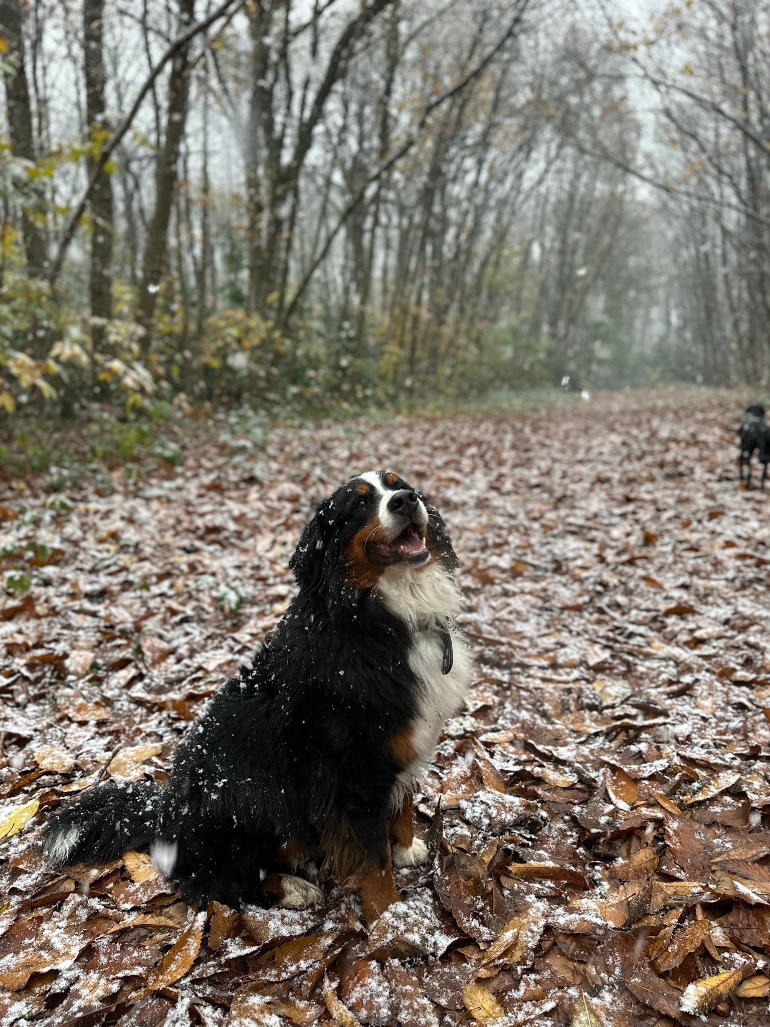 Una&Co Photo Balade éducative