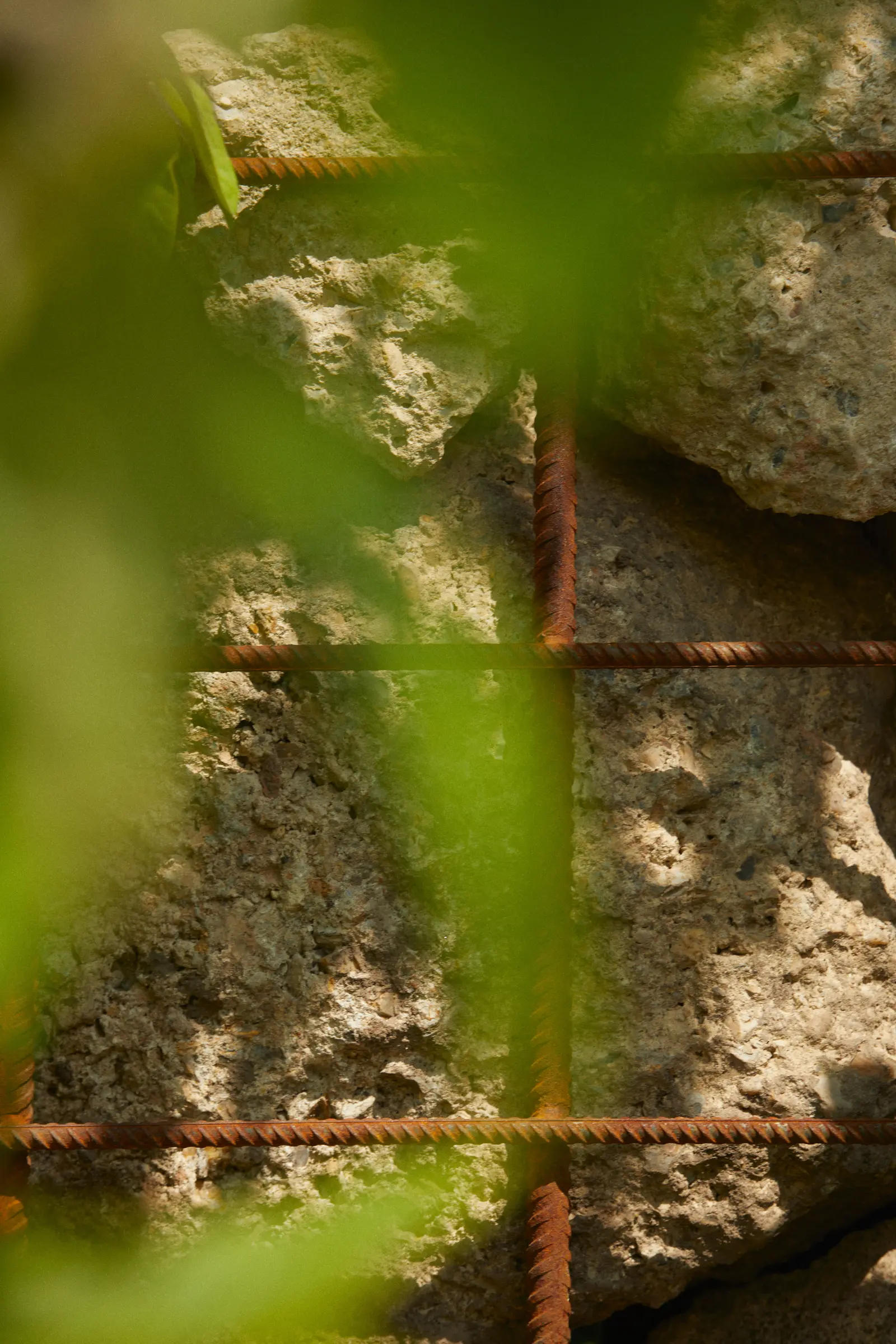 A close-up view of green leaves and rocks, with soft focus and natural textures creating a serene outdoor atmosphere.