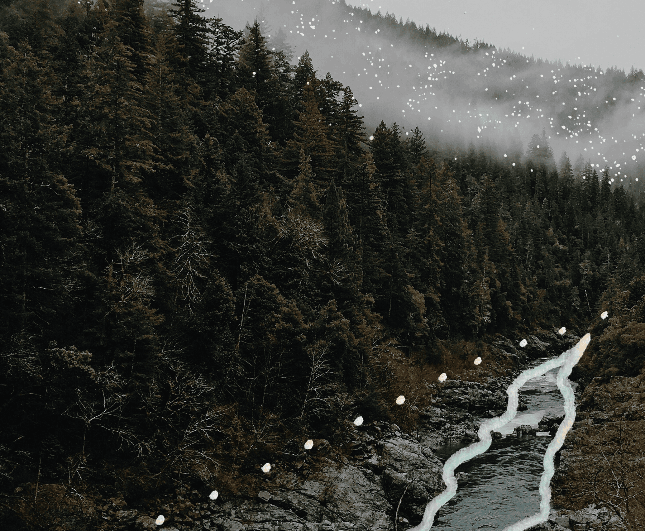 Dynamic picture of a cyclist riding downhill