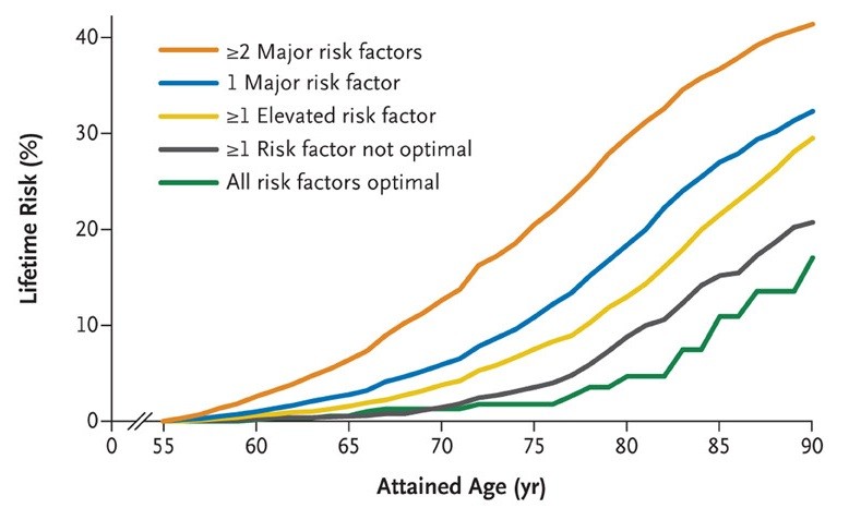Line chart showing lifetime cardiovascular risk increasing with age, highest for people with multiple major risk factors and lowest when all risk factors are optimal.