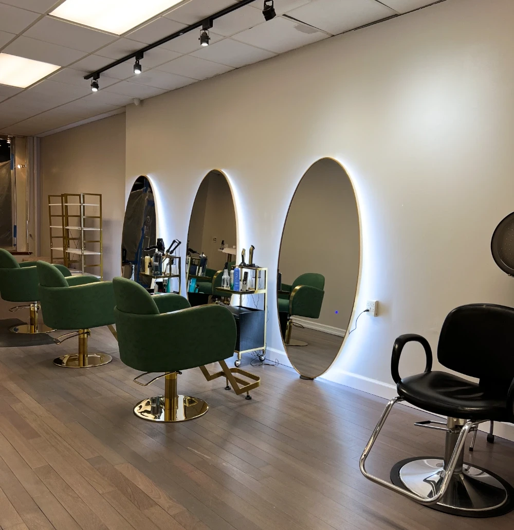 Salon Deana Painting