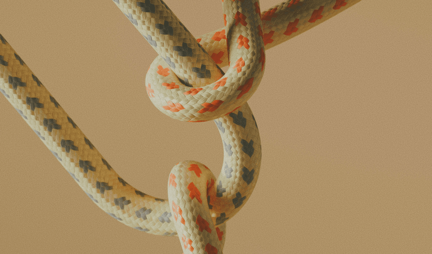 Close-up photograph of intertwined rope knots against a neutral background.